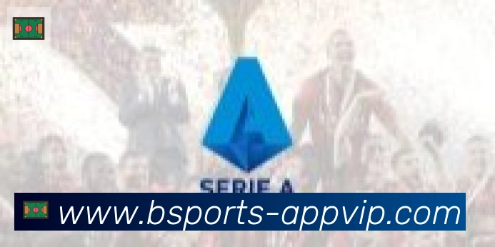 bsports体育合作伙伴